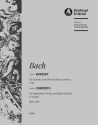 Konzert A-Dur BWV1055 für Klavier und Orchester Viola