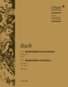 Brandenburgisches Konzert F-Dur Nr.2 BWV1047 fr Orchester Violoncello