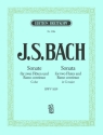 Trio G-Dur BWV1039 fr Klavier, 2 Flten und Violoncello ad lib.