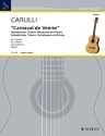 Introduction, theme, variations and finale on 'Carnaval de Venise' for 2 guitars