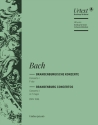 Brandenburgisches Konzert F-Dur Nr.1 BWV1046 für Orchester Violine solo