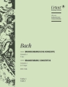 Brandenburgisches Konzert F-Dur Nr.1 BWV1046 für Orchester Violine 1