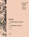 Brandenburgisches Konzert F-Dur Nr.1 BWV1046 für Orchester Violine 2