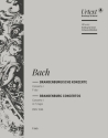 Brandenburgisches Konzert F-Dur Nr.1 BWV1046 für Orchester Viola