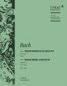 Brandenburgisches Konzert F-Dur Nr.1 BWV1046 für Orchester Cembalo