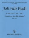 Weichet nur betrbte Schatten Kantate Nr.202 BWV202 Partitur