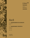 Brandenburgisches Konzert F-Dur Nr.2 BWV1047 fr Orchester Kontrabass