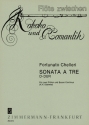 Sonata  tre D-Dur fr 2 Flten und Klavier