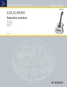Sonata eroica op.150 fr Gitarre