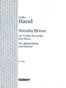 Sonata breve for treble recorder and piano