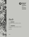 Konzert E-Dur BWV1053 fr Cembalo und Orchester Viola