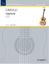 Capriccio Anschlagsstudie fr Gitarre