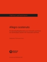 Allegro sostenuto fr Klarinette (auch Baklarinette), Violoncello und Klavier