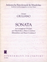 Sonate D-Dur fr Mandoline und Bc