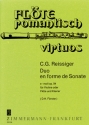 Duo en forme de sonate fr Flte (Violine) und Klavier