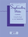Supplementary Studies for clarinet