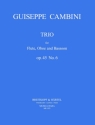 Trio op.45 Nr.6 fr Flte, Oboe und Fagott Partitur und Stimmen
