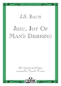 Jesu Joy of Man's Desiring for clarinet and piano