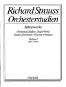 Orchesterstudien aus seinen Bhnenwerken Heft 2 fr Violine FEUERSNOT, ELEKTRA