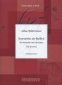 Souvenirs de Bellini fr Violoncello und Kontrabass