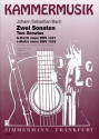 2 Sonaten G-Dur BWV1021 und e-Moll BWV1023 fr Violine und Gitarre