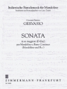 Sonate D-Dur fr Mandoline und b.c.