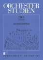 Orchesterstudien Horn Sinfonien und Konzerte
