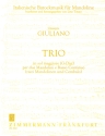 Trio G-Dur für 2 Mandolinen und bc Stimmen