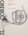 Variationen op. 31 fr Horn und Klavier