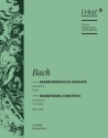 Brandenburgisches Konzert G-Dur Nr.3 BWV1048 fr Streicher Cembalo