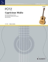 Blue Waltz fr Flte und Gitarre