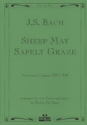 Sheep may safely graze BWV208 803