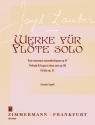 Werke fr Flte solo (op.47, 49, 51) 