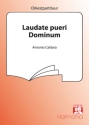 Laudate pueri dominum for soprano, mixed chorus,strings and bc score