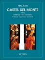 Castel de monte per corno e orchestra per corno e pianoforte