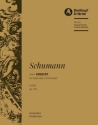 Konzert a-Moll op.129 fr Violoncello und Orchester Kontrabass