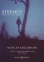 Adiemus - Song of Sanctuary fr Frauenchor (SSAA), Blockflte, Streicher und Schlaginstrumente (od Klavierauszug