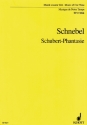 Schubert-Phantasie fr Orchester Studienpartitur