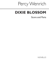 DIXIE BLOSSOM FOR 6 RECORDERS (SOPRANINO, SATTB),  SCORE AND PARTS