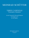3 Kadenzen zum Konzert G-Dur op.29 für Flöte und Orchester (Stamitz) für Flöte