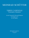 3 Kadenzen zum Konzert G-Dur op.29 fr Flte und Orchester (Stamitz) fr Flte