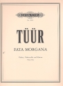 Fata Morgana für Violine, Violoncello und Klavier Stimmen