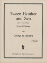 Tween heather and sea for xylophone and piano