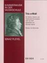 Trio op.8,6 e-moll fr Violine Gittare und Violoncello (Kontrabass) Partitur und Stimmen