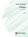 Fantasia for string quartet score
