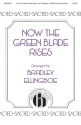 Brad Ellingboe, Now the Green Blade Rises SATB Chorpartitur