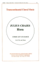 Julius Chajes, Hora Come Let Us Dance SATB Chorpartitur