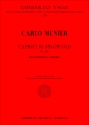 Capriccio spagnuolo op.273 f Mandoline und Gitarre Partitur und Stimme
