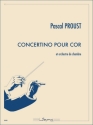 Concertino pour cor Chamber Orchestra and Horn Set
