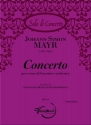 Concerto Orchestra and Bassethorn Set